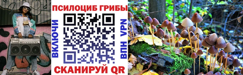 где купить наркоту  Чехов  Псилоцибиновые грибы Psilocybine cubensis 